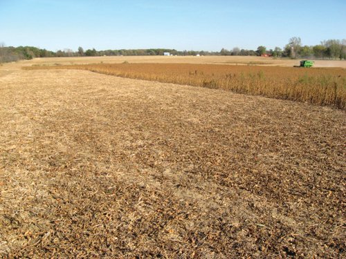 Property photo 52 - 110+/- Acres offered in 4 Tillable Tracts